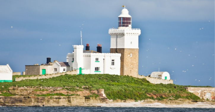 Coquet Island, birds flying nearby. Blue sky.